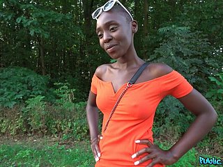 Ebony Afrika suka besar batang 1 - ejen awam