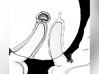 Je jouis dans big bucks cul donc je ne tombe pas enceinte - comic boru sumi