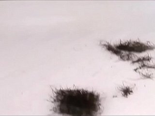 Moi - Chatte à raser 2