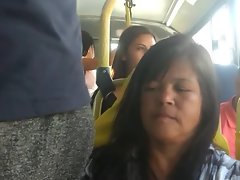 バルジの観察