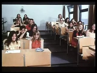 シュルマッヘン報告書2（1971年）