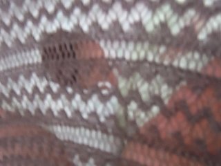 DSCF6124