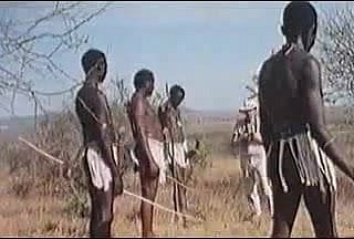 énormes chibres africains! véritable safari!