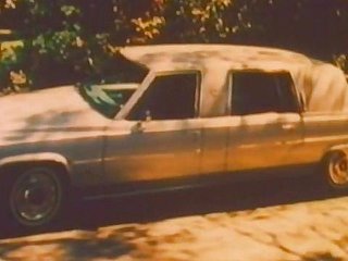limousine Attractiveness
