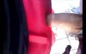 porno dừng video xe buýt